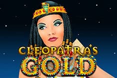 WildSlots game-thumb